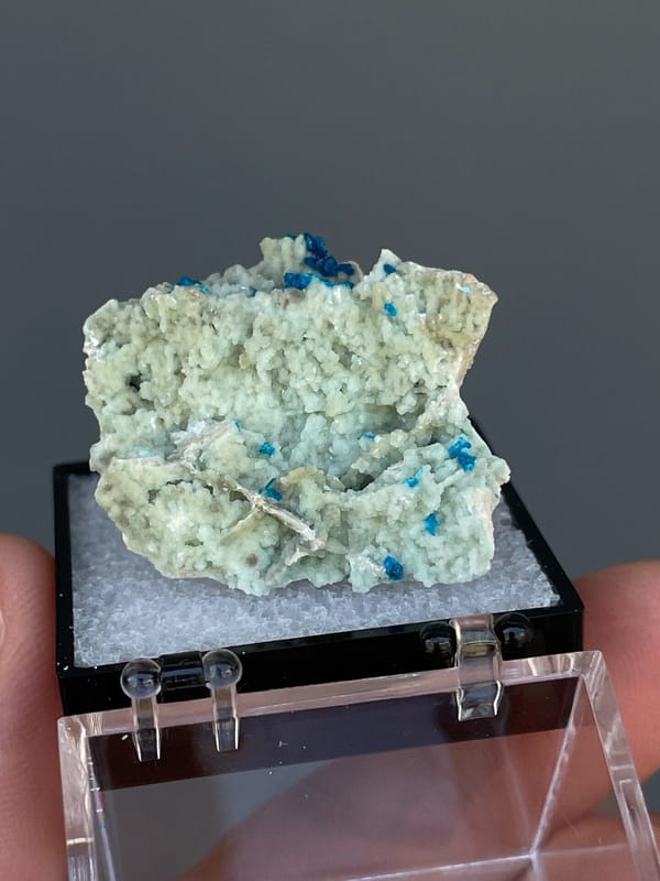 Deep blue veszelyite tufts on pale matrix from Yunnan, China, in a display box, reverse side
