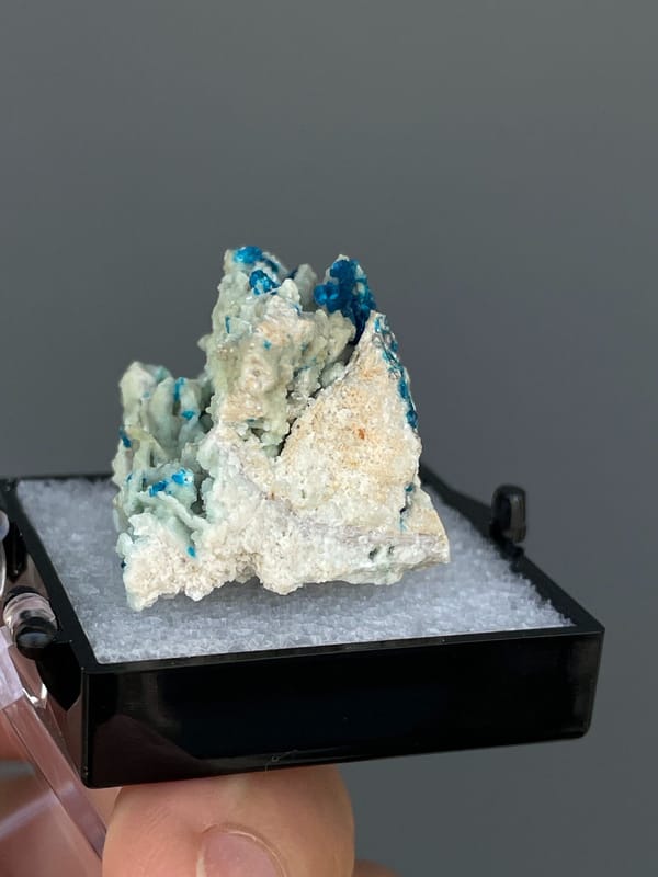 Deep blue veszelyite tufts on pale matrix from Yunnan, China, in a display box, top view