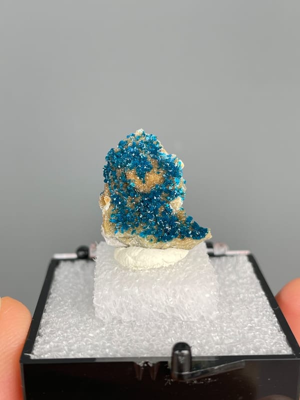 Upright block crusted with deep blue veszelyite from Yunnan, China, in a box
