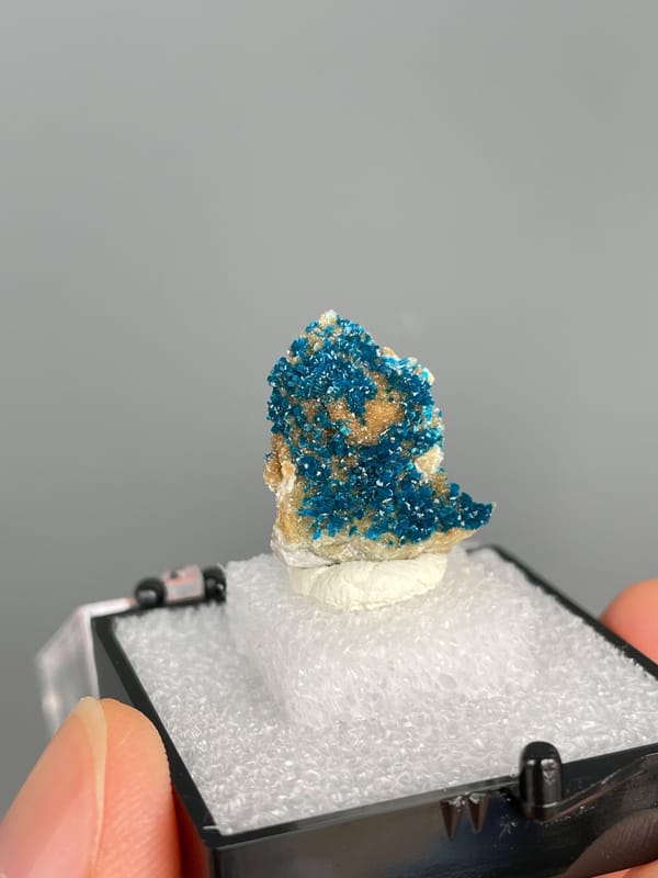 Upright block crusted with deep blue veszelyite from Yunnan, China, in a box, second angle