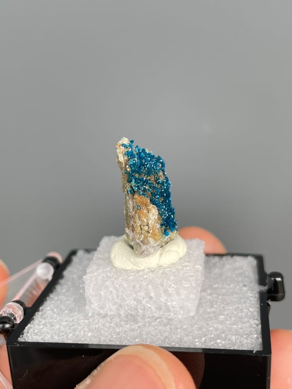 Upright block crusted with deep blue veszelyite from Yunnan, China, in a box, close-up of the crystal faces