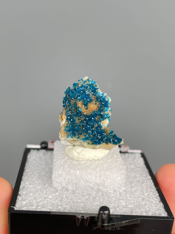 Upright block crusted with deep blue veszelyite from Yunnan, China, in a box, reverse side