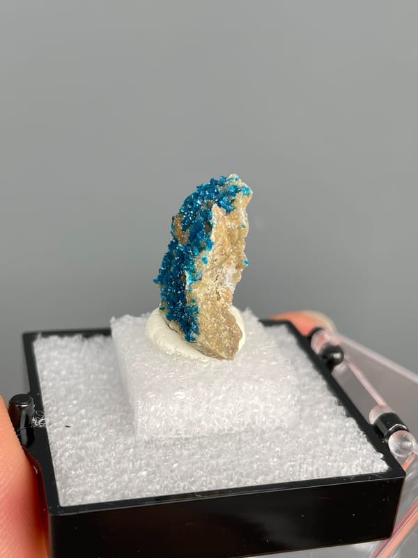 Upright block crusted with deep blue veszelyite from Yunnan, China, in a box, top view