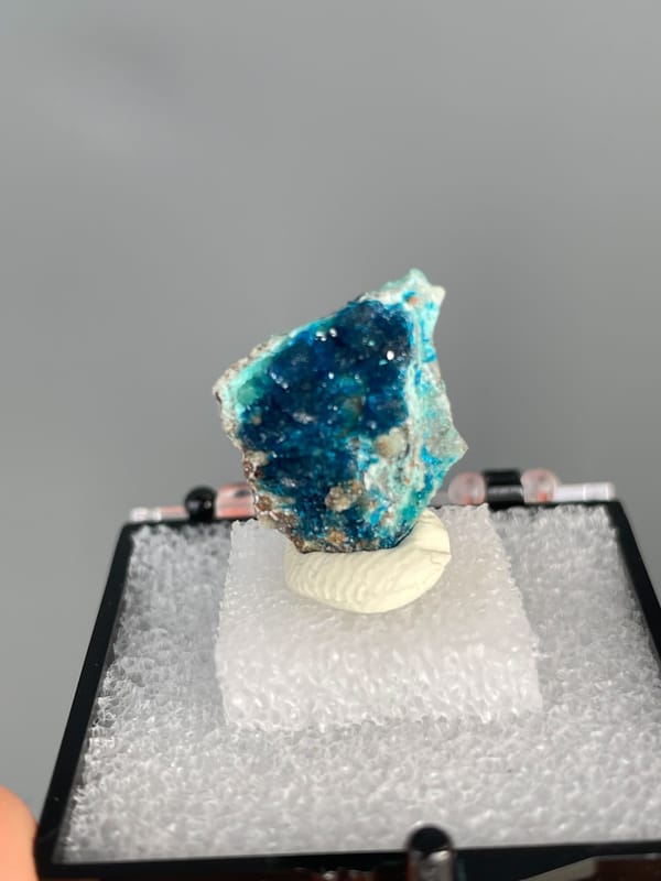 Ink-blue veszelyite with a turquoise band from Yunnan, China, in a display box, second angle