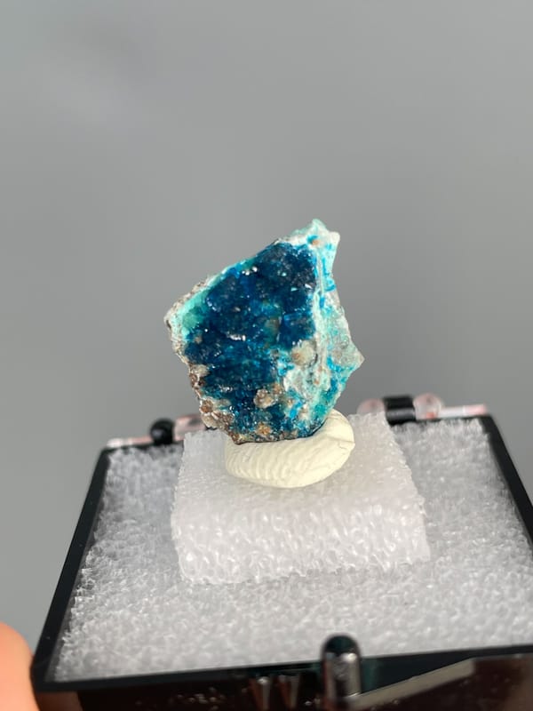 Ink-blue veszelyite with a turquoise band from Yunnan, China, in a display box, close-up of the crystal faces