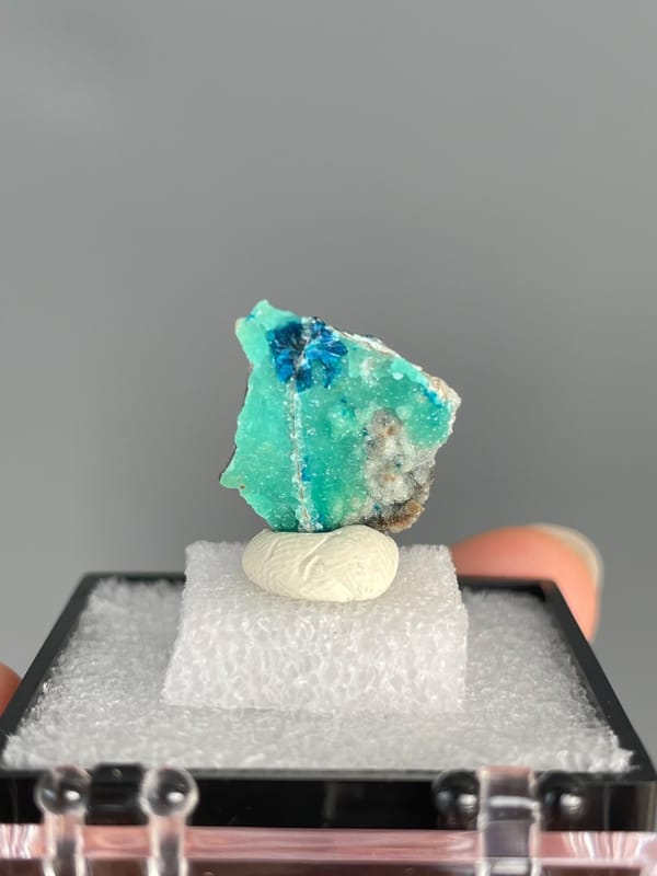 Ink-blue veszelyite with a turquoise band from Yunnan, China, in a display box, reverse side