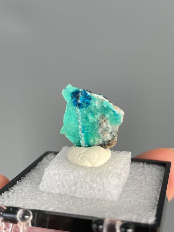 Ink-blue veszelyite with a turquoise band from Yunnan, China, in a display box, top view