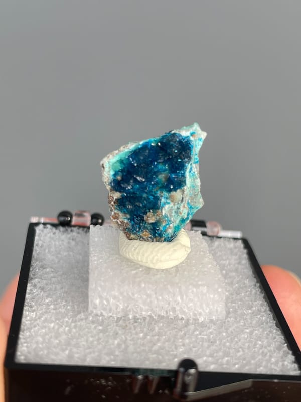Ink-blue veszelyite with a turquoise band from Yunnan, China, in a display box, detail of the matrix contact