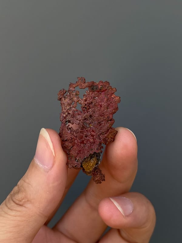 Lacy branching native copper sheet from Hubei, China, close-up of the crystal faces