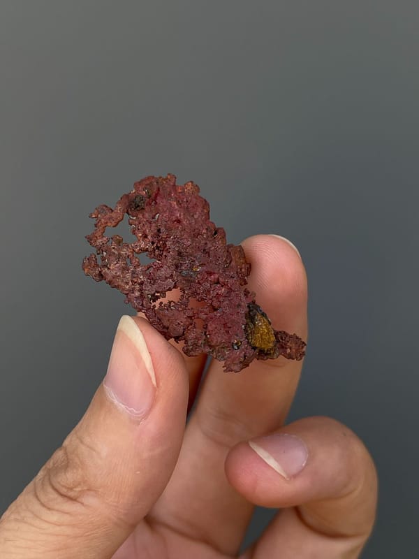 Lacy branching native copper sheet from Hubei, China, top view