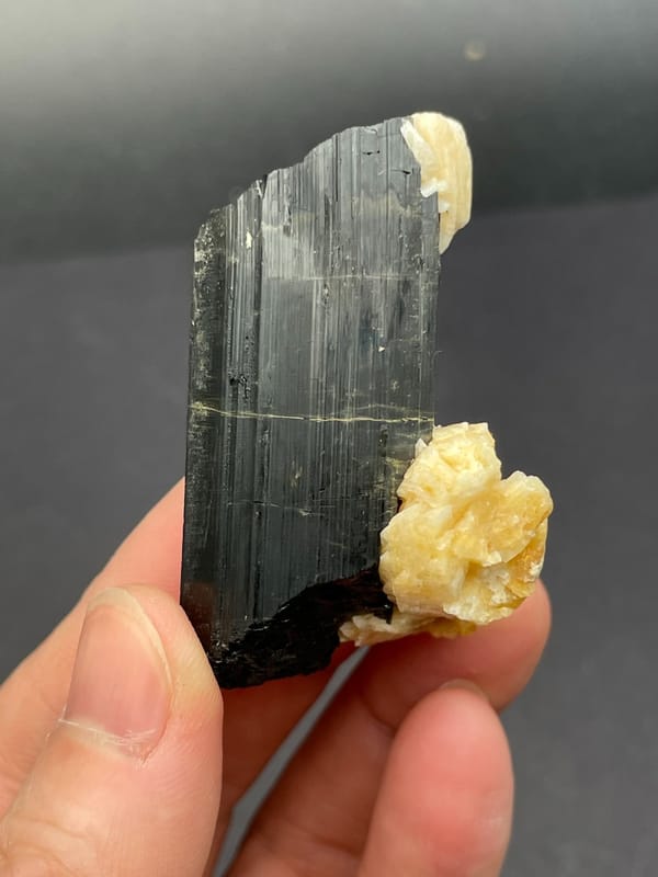Black tourmaline prism with cream feldspar from Pakistan, second angle