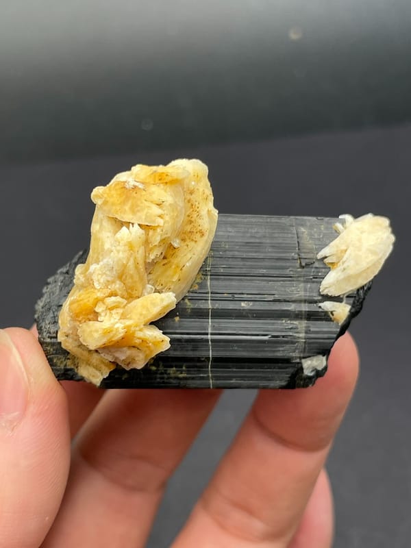 Black tourmaline prism with cream feldspar from Pakistan, reverse side