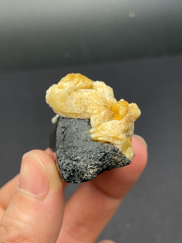 Black tourmaline prism with cream feldspar from Pakistan, top view