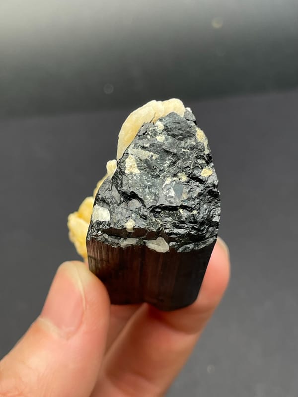 Black tourmaline prism with cream feldspar from Pakistan, detail of the matrix contact