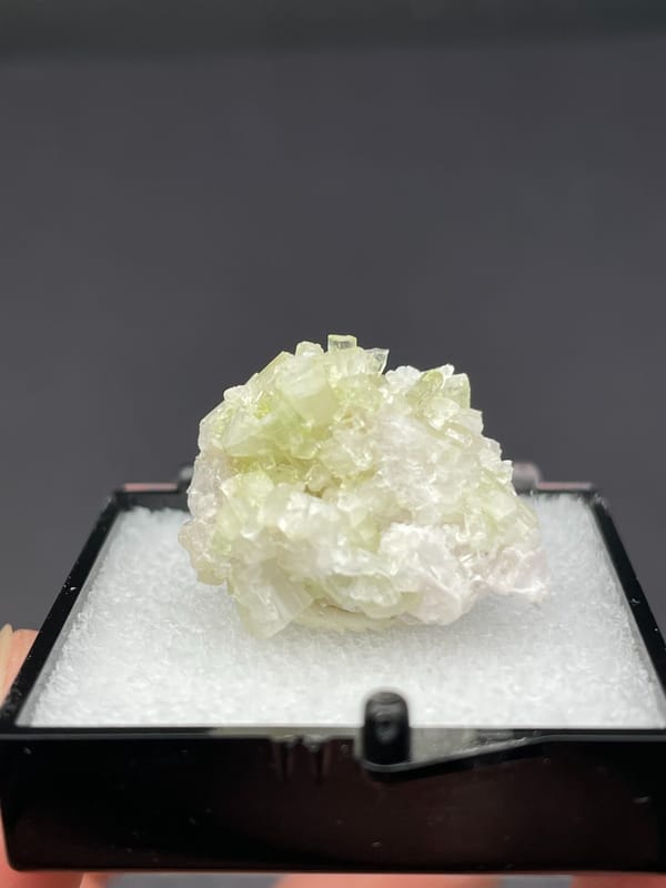 Pale green tourmaline crystal spray from Afghanistan, in a display box