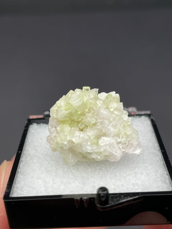 Pale green tourmaline crystal spray from Afghanistan, in a display box, second angle