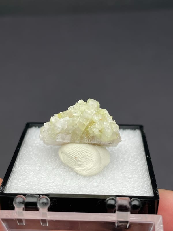 Pale green tourmaline crystal spray from Afghanistan, in a display box, reverse side