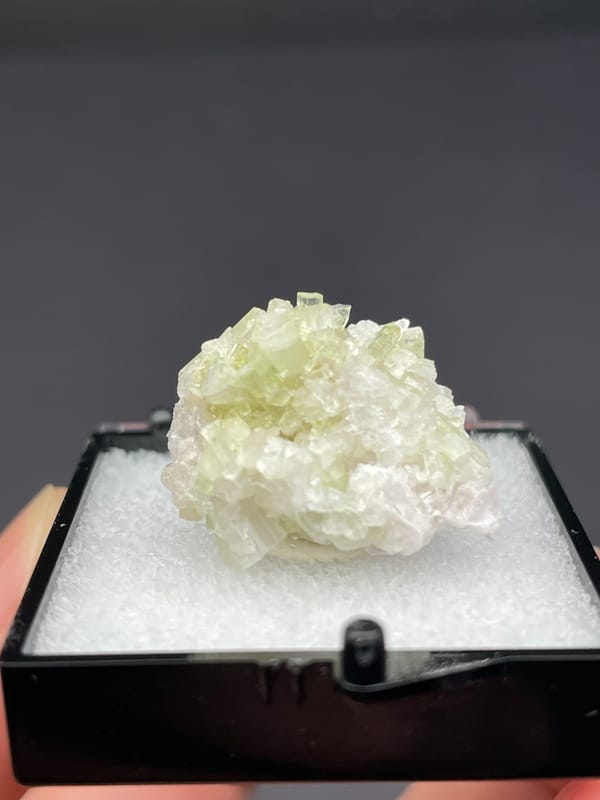 Pale green tourmaline crystal spray from Afghanistan, in a display box, top view