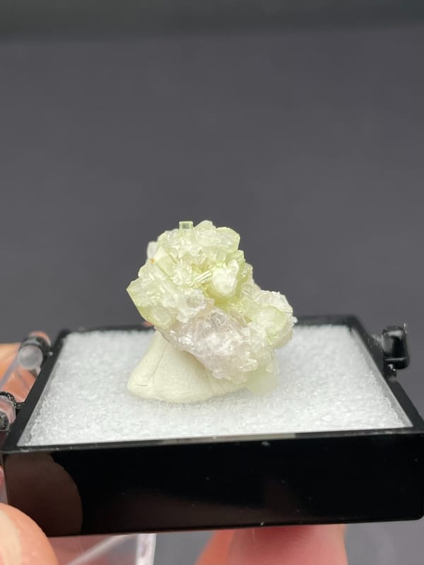 Pale green tourmaline crystal spray from Afghanistan, in a display box, detail of the matrix contact