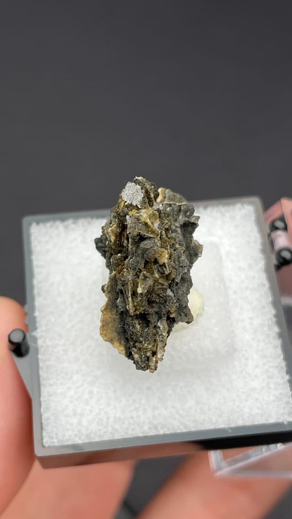 White bladed hemimorphite flowers on dark matrix from Guangxi, China, in a box, reverse side