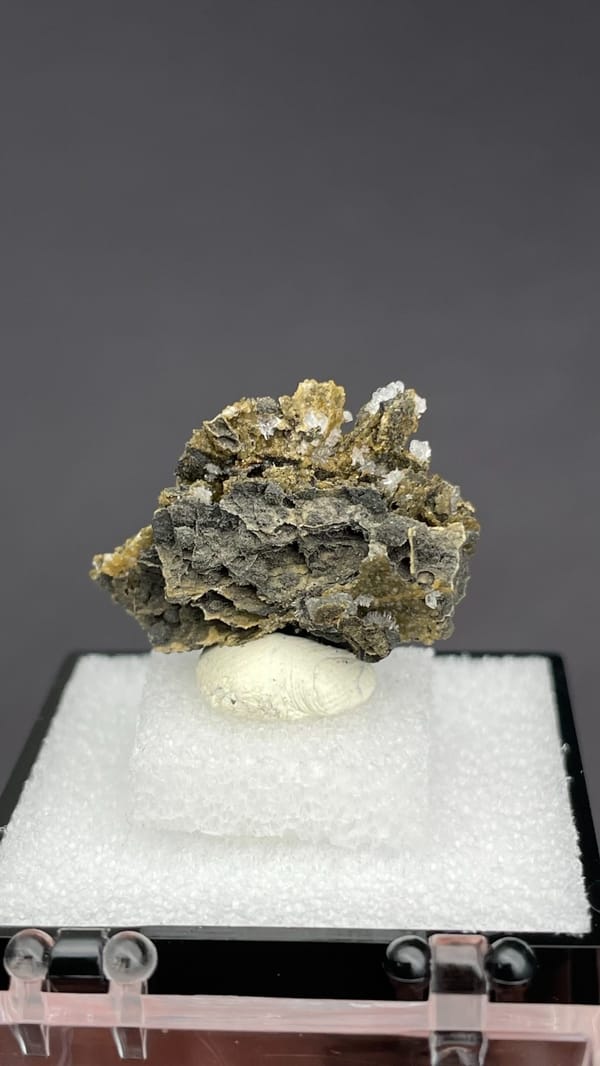 White bladed hemimorphite flowers on dark matrix from Guangxi, China, in a box, top view