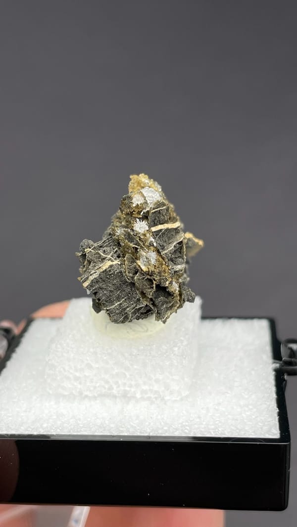 White bladed hemimorphite flowers on dark matrix from Guangxi, China, in a box, detail of the matrix contact