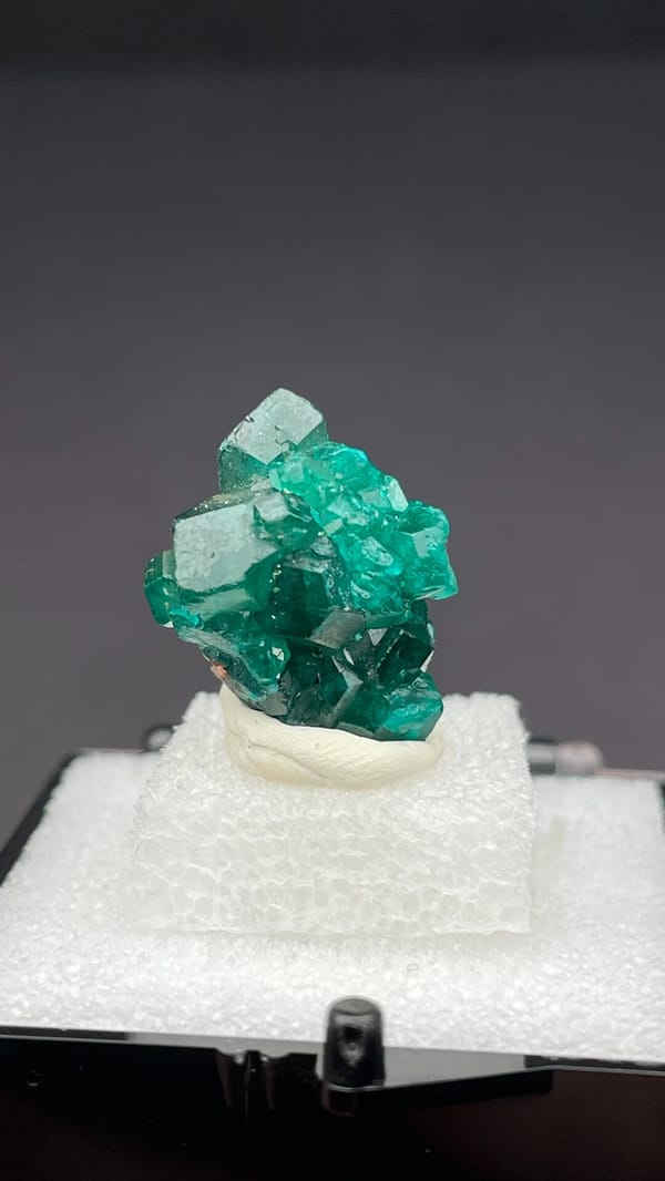 Emerald-green dioptase with white blades from DR Congo, in a display box