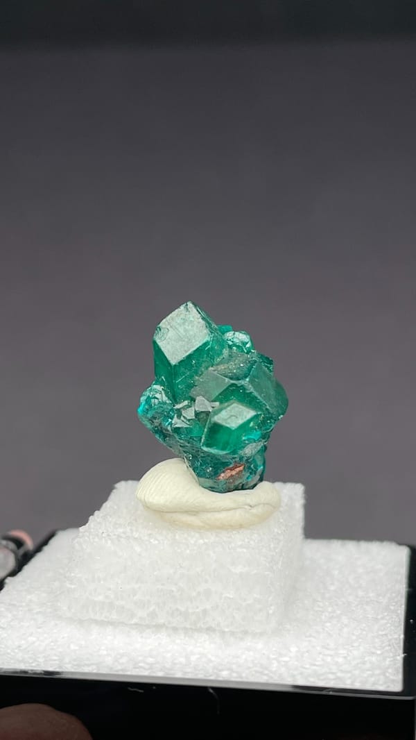 Emerald-green dioptase with white blades from DR Congo, in a display box, second angle
