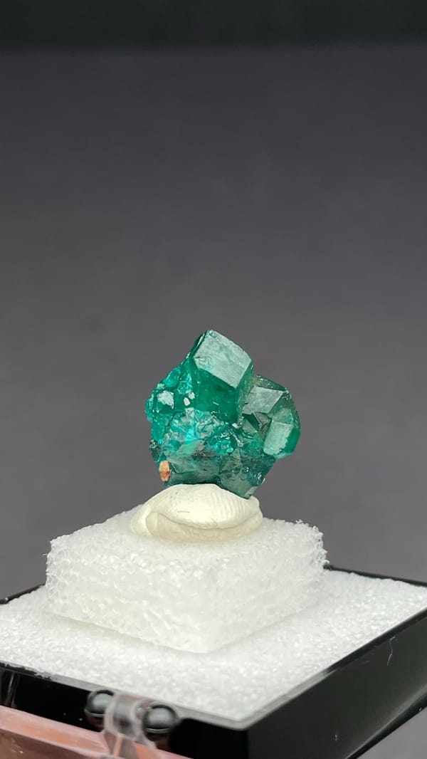 Emerald-green dioptase with white blades from DR Congo, in a display box, close-up of the crystal faces