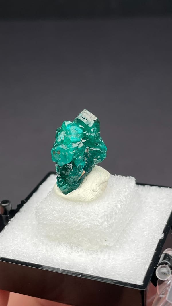 Emerald-green dioptase with white blades from DR Congo, in a display box, reverse side