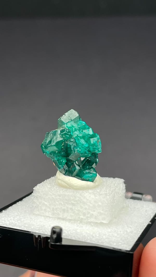 Emerald-green dioptase with white blades from DR Congo, in a display box, top view