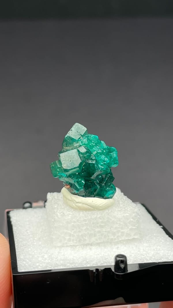 Emerald-green dioptase with white blades from DR Congo, in a display box, detail of the matrix contact