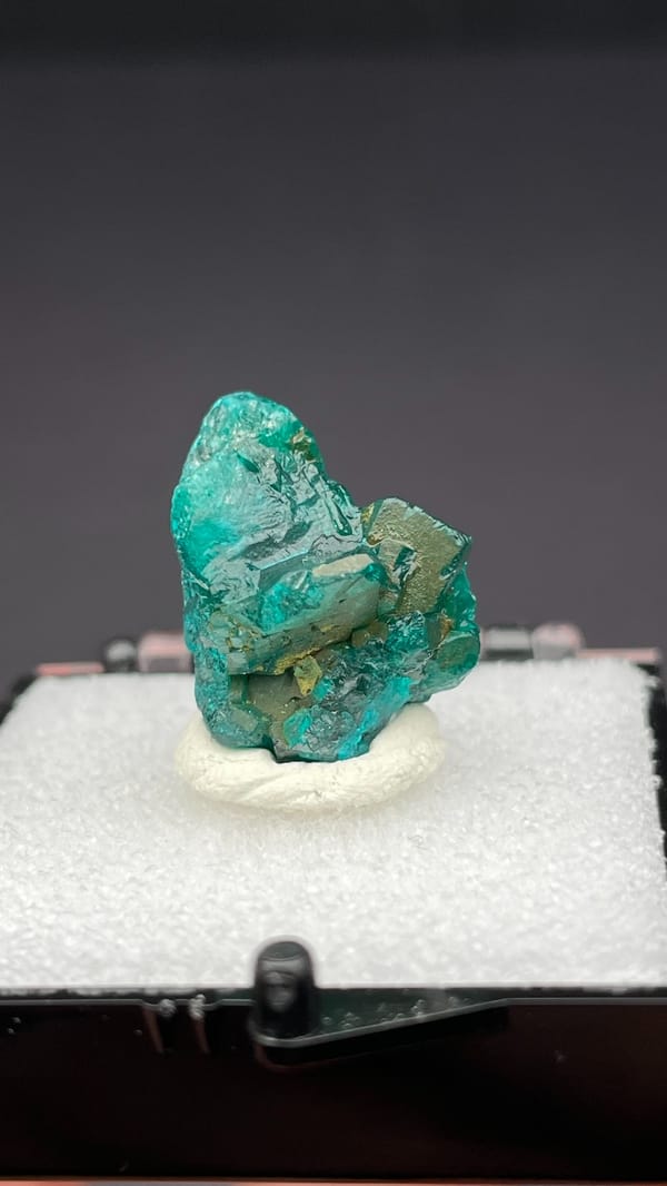 Emerald-green dioptase crystals on matrix from DR Congo, in a display box