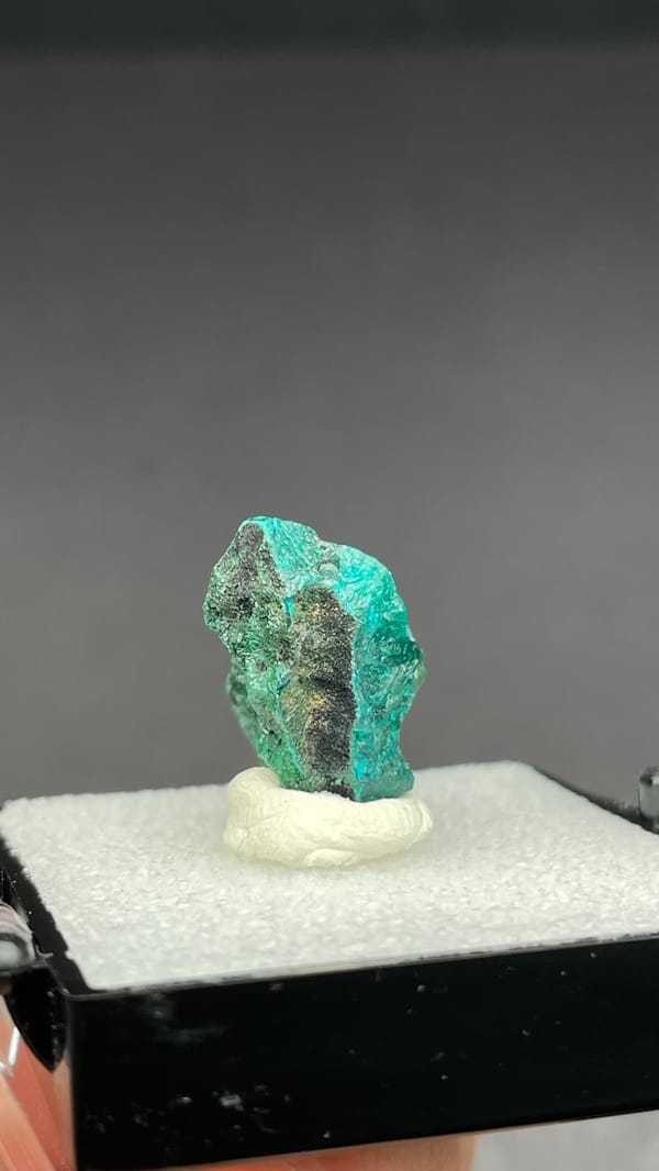 Emerald-green dioptase crystals on matrix from DR Congo, in a display box, reverse side