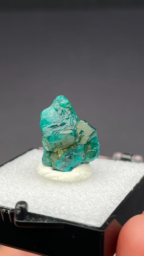 Emerald-green dioptase crystals on matrix from DR Congo, in a display box, detail of the matrix contact