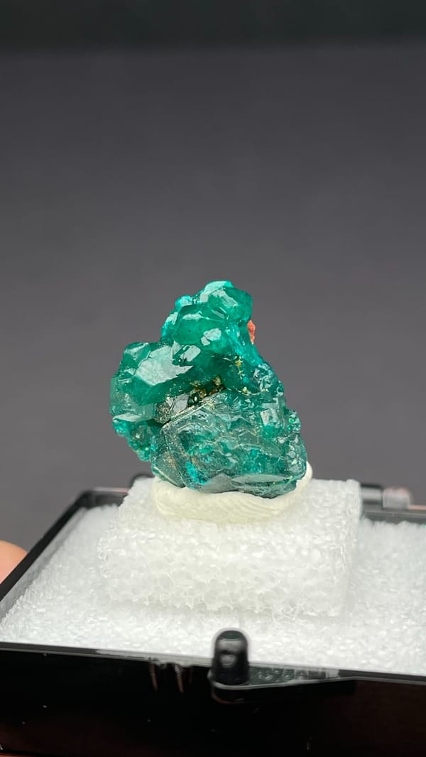 Deep emerald-green dioptase crystal group from DR Congo, in a display box
