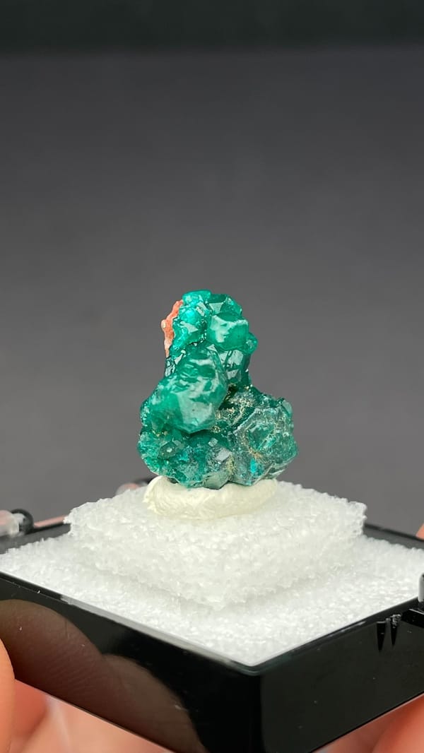 Deep emerald-green dioptase crystal group from DR Congo, in a display box, second angle