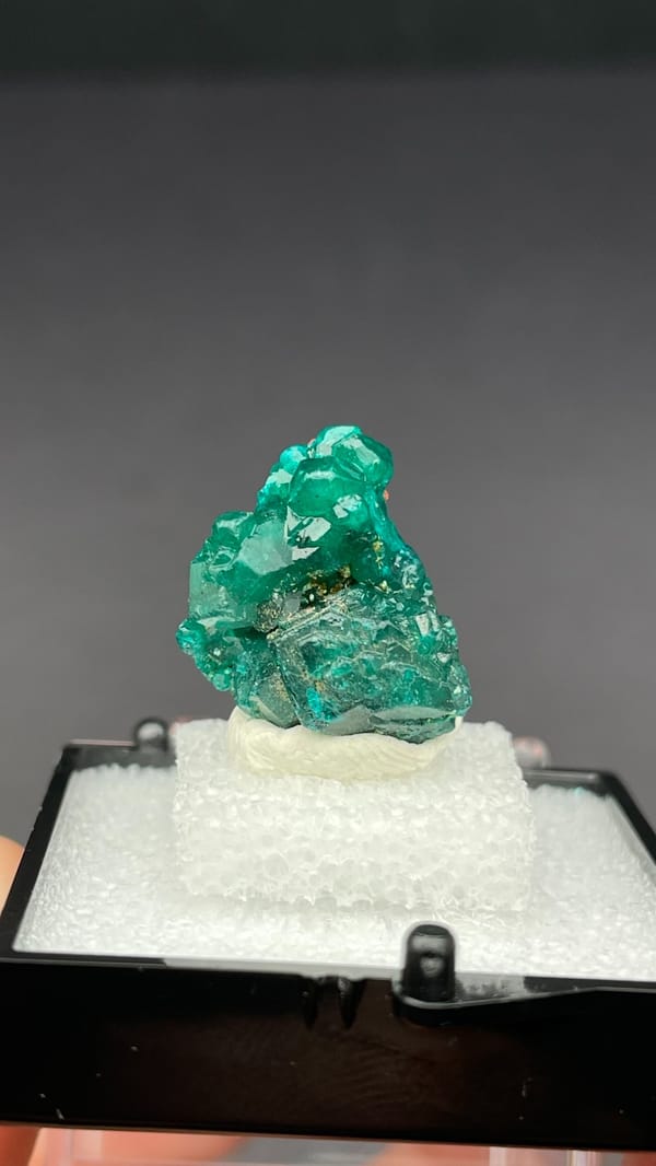 Deep emerald-green dioptase crystal group from DR Congo, in a display box, close-up of the crystal faces
