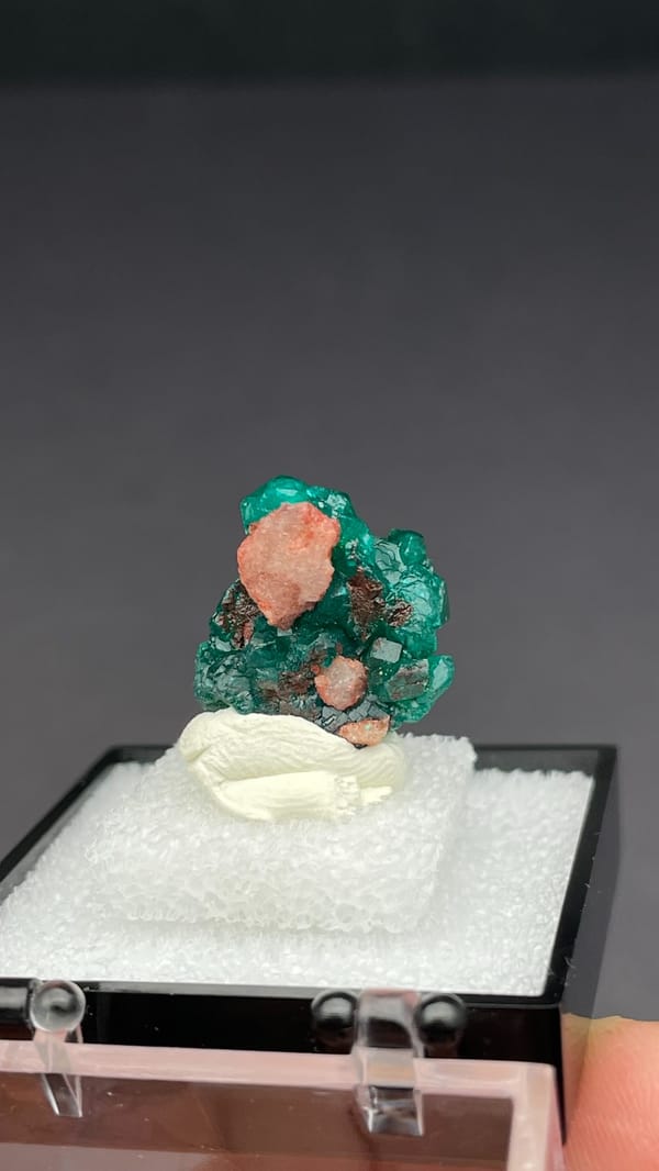 Deep emerald-green dioptase crystal group from DR Congo, in a display box, top view