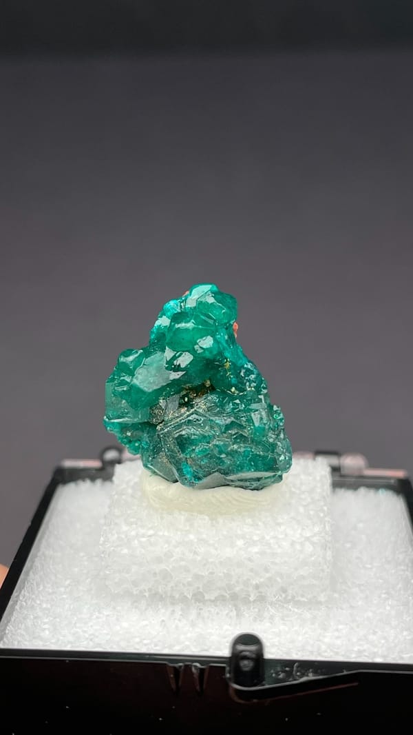 Deep emerald-green dioptase crystal group from DR Congo, in a display box, detail of the matrix contact