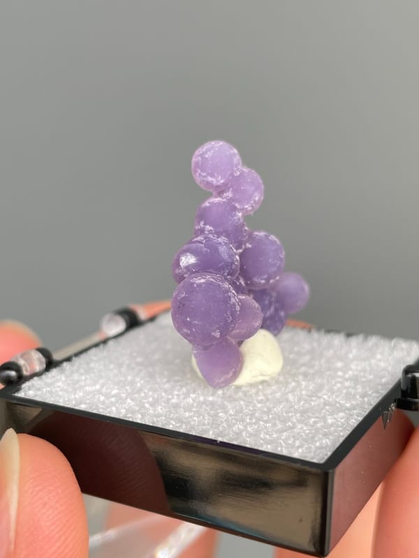 Cluster of purple botryoidal grape agate spheres from Indonesia, in a box, close-up of the crystal faces