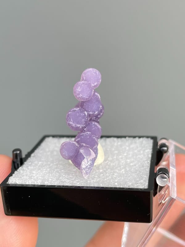 Cluster of purple botryoidal grape agate spheres from Indonesia, in a box, top view