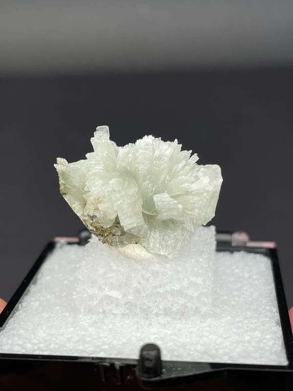 Pale green bladed prehnite fan from Morocco, in a display box, second angle