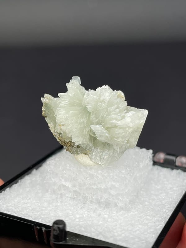 Pale green bladed prehnite fan from Morocco, in a display box, close-up of the crystal faces