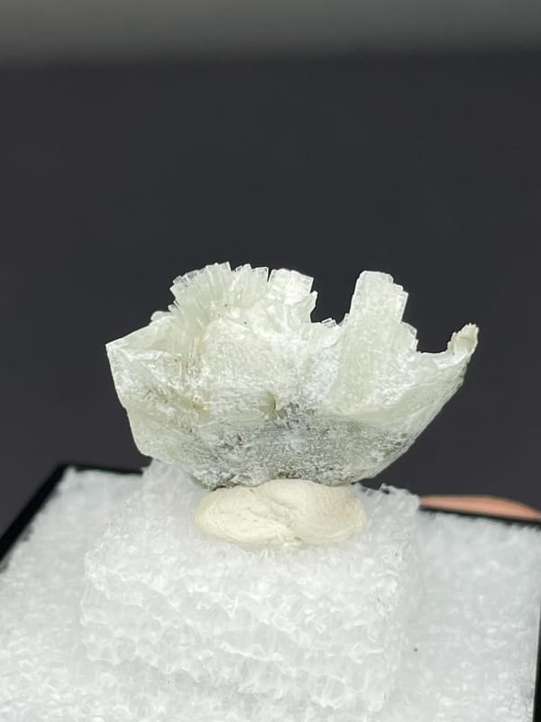 Pale green bladed prehnite fan from Morocco, in a display box, reverse side