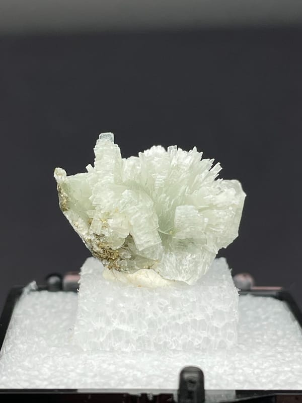 Pale green bladed prehnite fan from Morocco, in a display box, top view