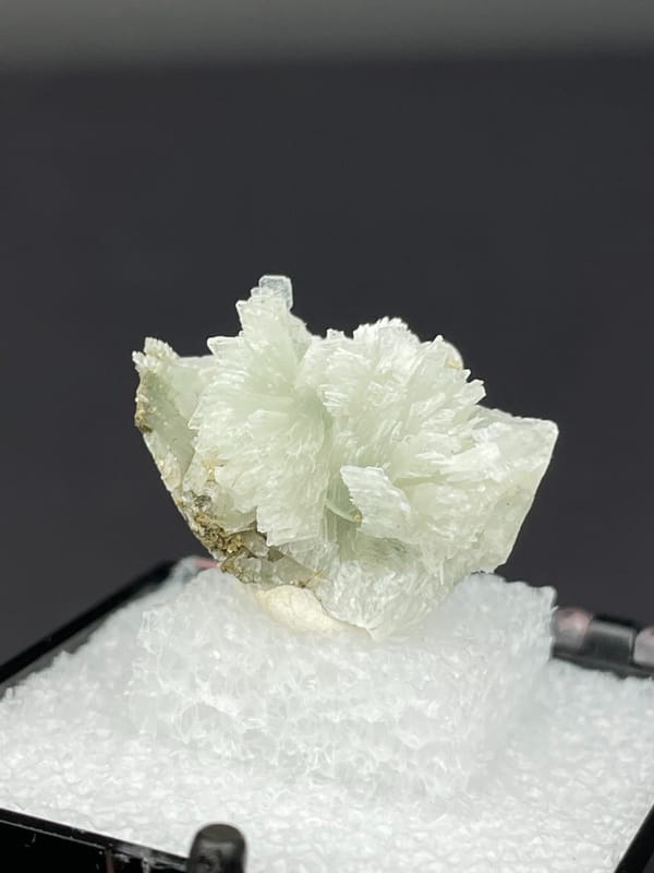 Pale green bladed prehnite fan from Morocco, in a display box, detail of the matrix contact
