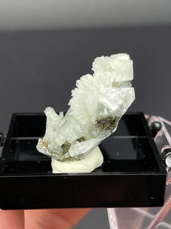 White bladed prehnite fan with serrated edges from Morocco, in a display box, detail of the matrix contact