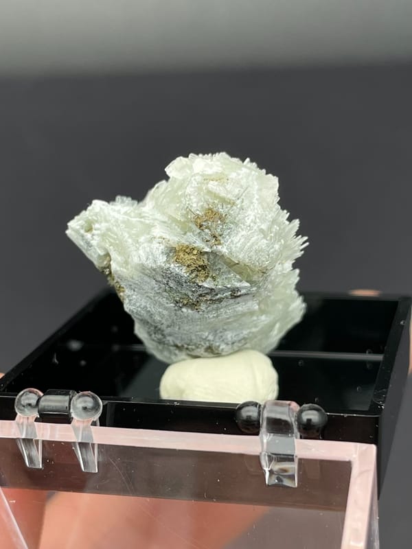 White bladed prehnite fan with serrated edges from Morocco, in a display box, side view