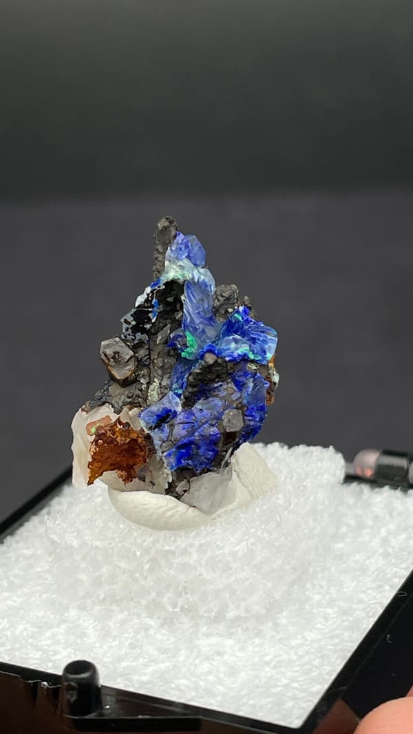 Electric blue azurite with green malachite on limonite from Morocco, in a box, second angle
